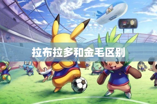 拉布拉多和金毛區別