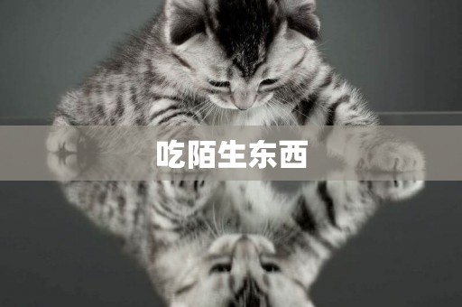 吃陌生東西