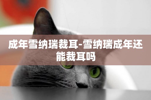 成年雪納瑞裁耳-雪納瑞成年還能裁耳嗎