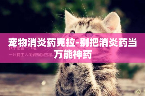 寵物消炎藥克拉-別把消炎藥當萬能神藥