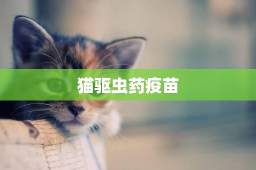 貓驅蟲藥疫苗