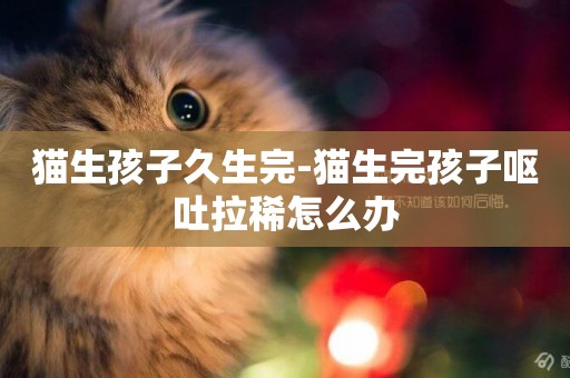 貓生孩子久生完-貓生完孩子嘔吐拉稀怎么辦
