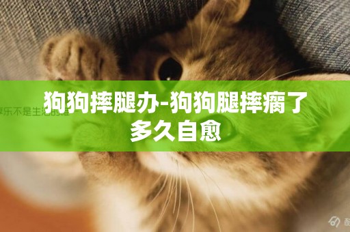 狗狗摔腿辦-狗狗腿摔瘸了多久自愈