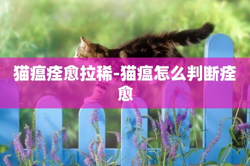 貓瘟痊愈拉稀-貓瘟怎么判斷痊愈