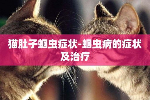 貓肚子蛔蟲癥狀-蛔蟲病的癥狀及治療