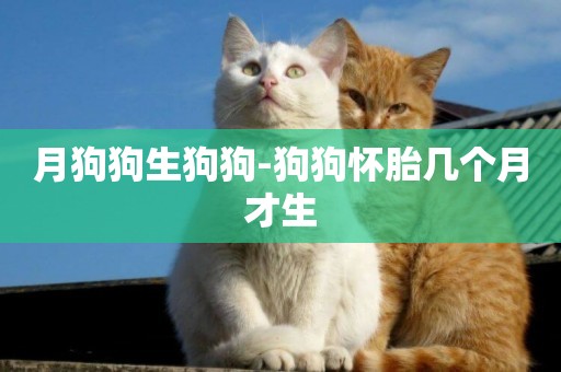 月狗狗生狗狗-狗狗懷胎幾個月才生