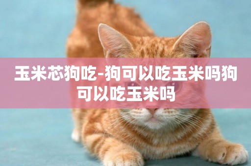 玉米芯狗吃-狗可以吃玉米嗎狗可以吃玉米嗎