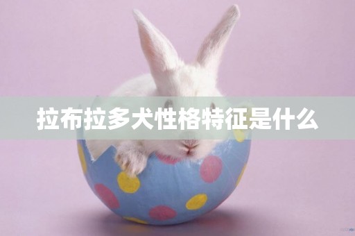 拉布拉多犬性格特征是什么