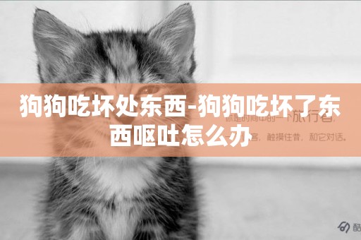狗狗吃壞處東西-狗狗吃壞了東西嘔吐怎么辦