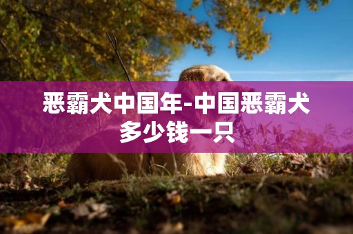 惡霸犬中國年-中國惡霸犬多少錢一只