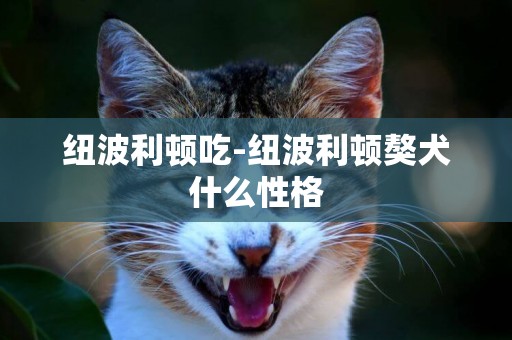 紐波利頓吃-紐波利頓獒犬什么性格