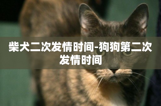 柴犬二次發情時間-狗狗第二次發情時間