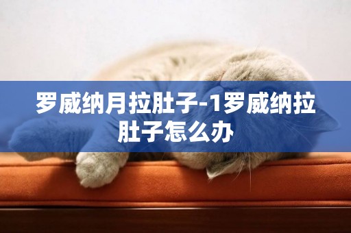 羅威納月拉肚子-1羅威納拉肚子怎么辦