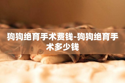 狗狗絕育手術費錢-狗狗絕育手術多少錢