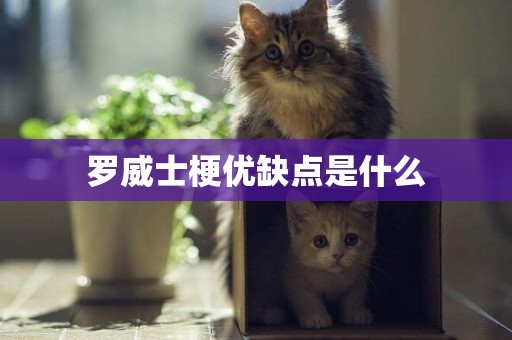 羅威士梗優缺點是什么