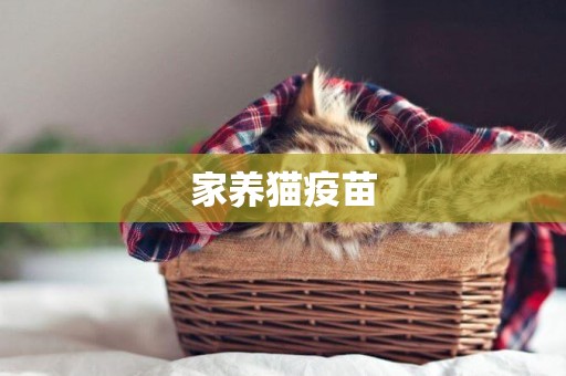 家養貓疫苗