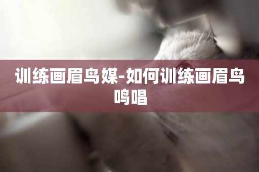 訓練畫眉鳥媒-如何訓練畫眉鳥鳴唱