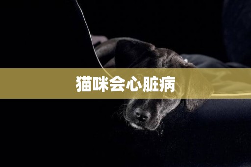 貓咪會心臟病