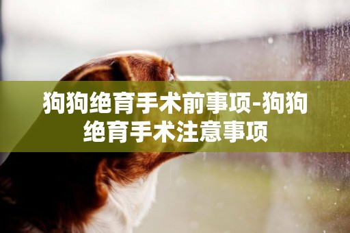 狗狗絕育手術前事項-狗狗絕育手術注意事項