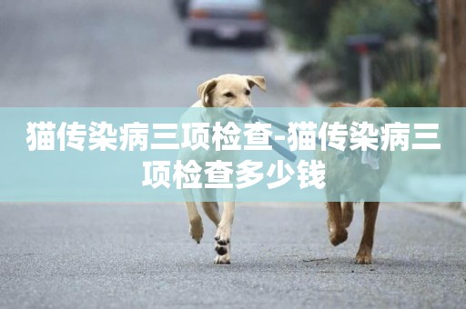 貓傳染病三項檢查-貓傳染病三項檢查多少錢