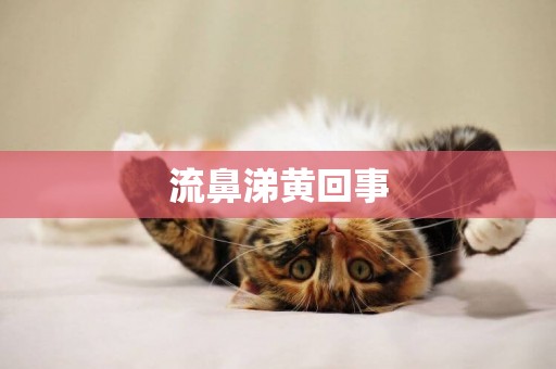 流鼻涕黃回事