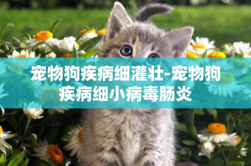 寵物狗疾病細灌壯-寵物狗疾病細小病毒腸炎