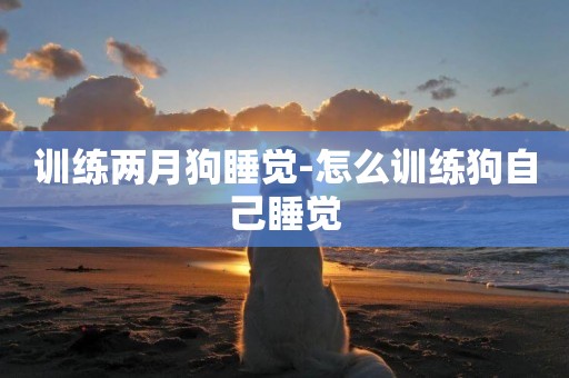 訓練兩月狗睡覺-怎么訓練狗自己睡覺