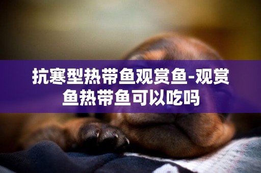 抗寒型熱帶魚觀賞魚-觀賞魚熱帶魚可以吃嗎