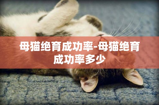 母貓絕育成功率-母貓絕育成功率多少