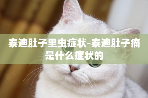 泰迪肚子里蟲癥狀-泰迪肚子痛是什么癥狀的