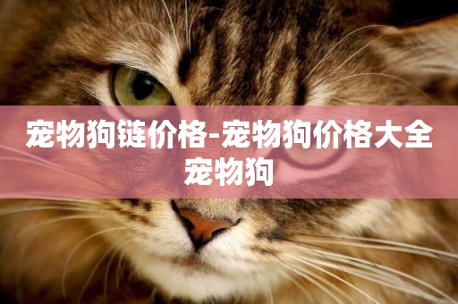 寵物狗鏈價格-寵物狗價格大全寵物狗
