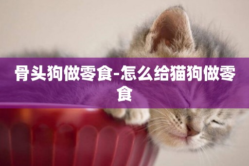骨頭狗做零食-怎么給貓狗做零食
