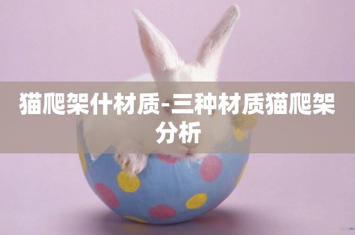 貓爬架什材質-三種材質貓爬架分析