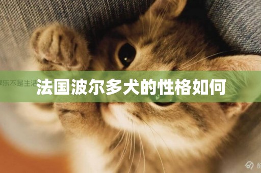 法國波爾多犬的性格如何