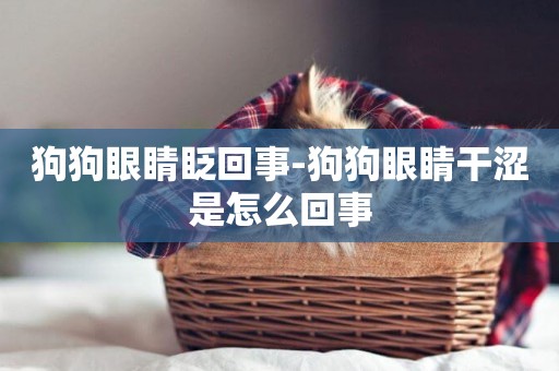 狗狗眼睛眨回事-狗狗眼睛干澀是怎么回事