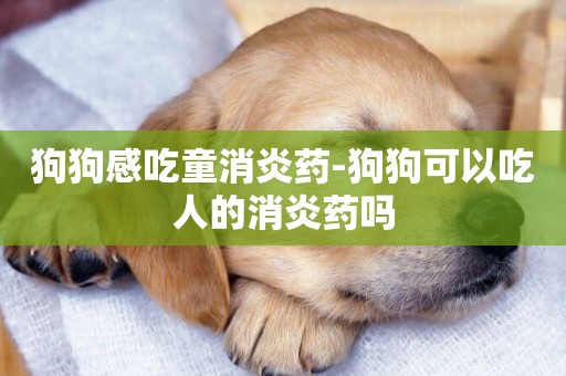 狗狗感吃童消炎藥-狗狗可以吃人的消炎藥嗎