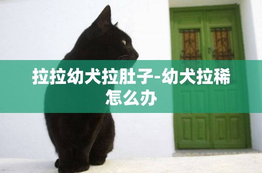 拉拉幼犬拉肚子-幼犬拉稀怎么辦