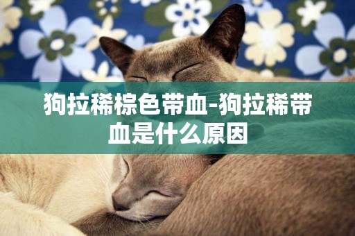 狗拉稀棕色帶血-狗拉稀帶血是什么原因