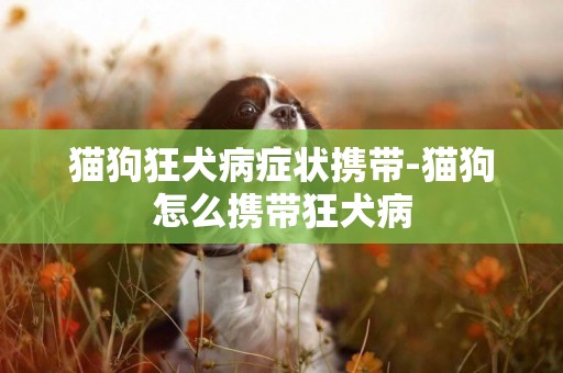 貓狗狂犬病癥狀攜帶-貓狗怎么攜帶狂犬病