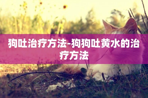 狗吐治療方法-狗狗吐黃水的治療方法