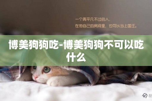 博美狗狗吃-博美狗狗不可以吃什么