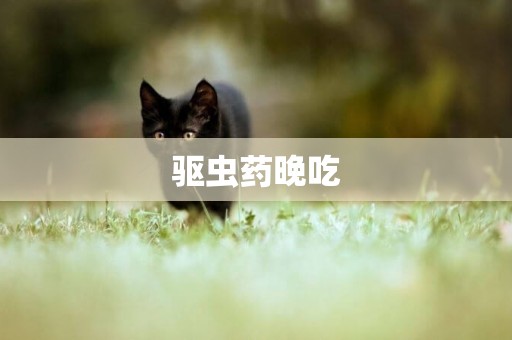 驅蟲藥晚吃