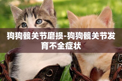狗狗髖關節磨損-狗狗髖關節發育不全癥狀
