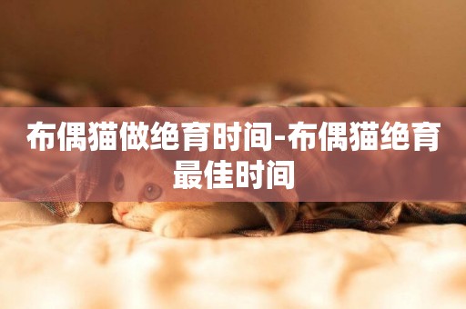 布偶貓做絕育時間-布偶貓絕育最佳時間