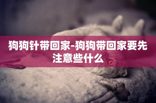狗狗針帶回家-狗狗帶回家要先注意些什么