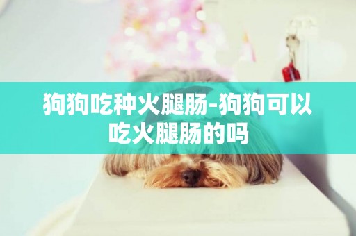 狗狗吃種火腿腸-狗狗可以吃火腿腸的嗎