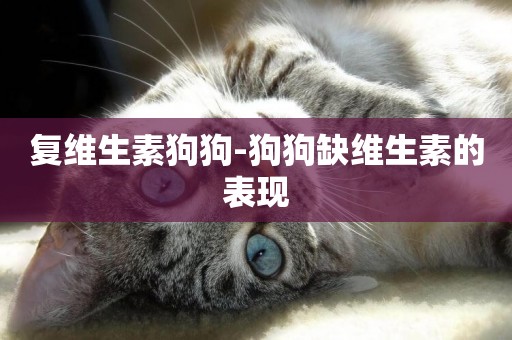 復維生素狗狗-狗狗缺維生素的表現