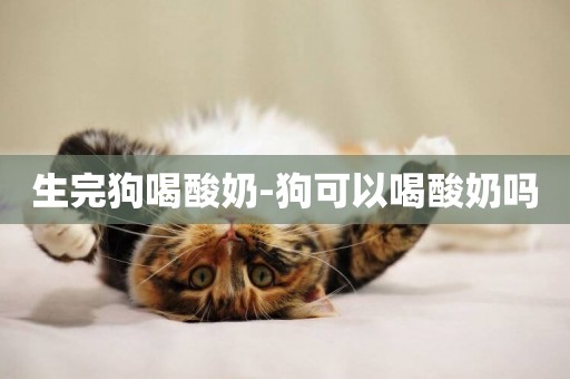 生完狗喝酸奶-狗可以喝酸奶嗎