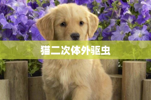 貓二次體外驅蟲
