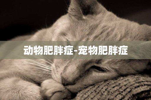 動物肥胖癥-寵物肥胖癥